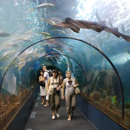 Puerto De La Cruz, Centrico Atico Con Piscina - Edificio Girasol *